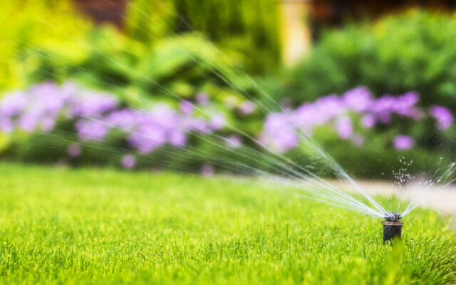 CA News: Watering Cut on College Campuses