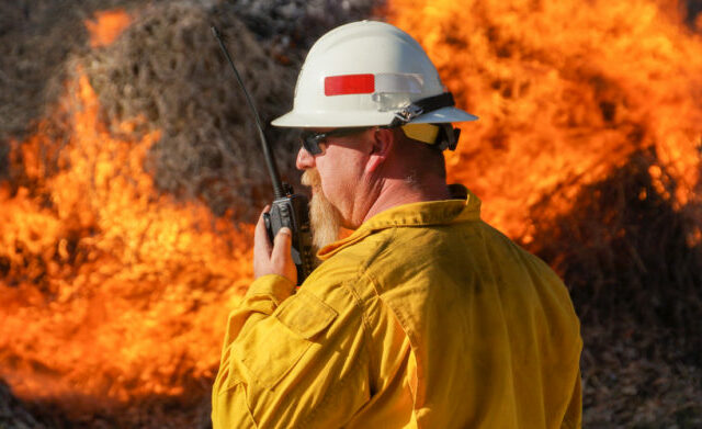 Crews Knock Down Brush Fire East of Bakersfield