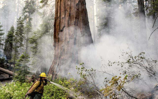 CA News: Firefighters Make Progress Against Wildfire