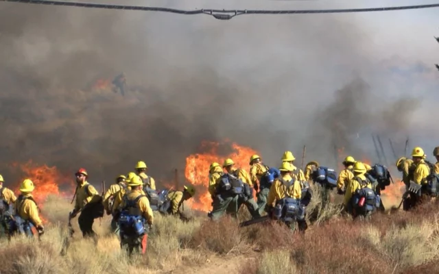 Mesa Fire Burns More Than 200 Acres Near Lake Isabella